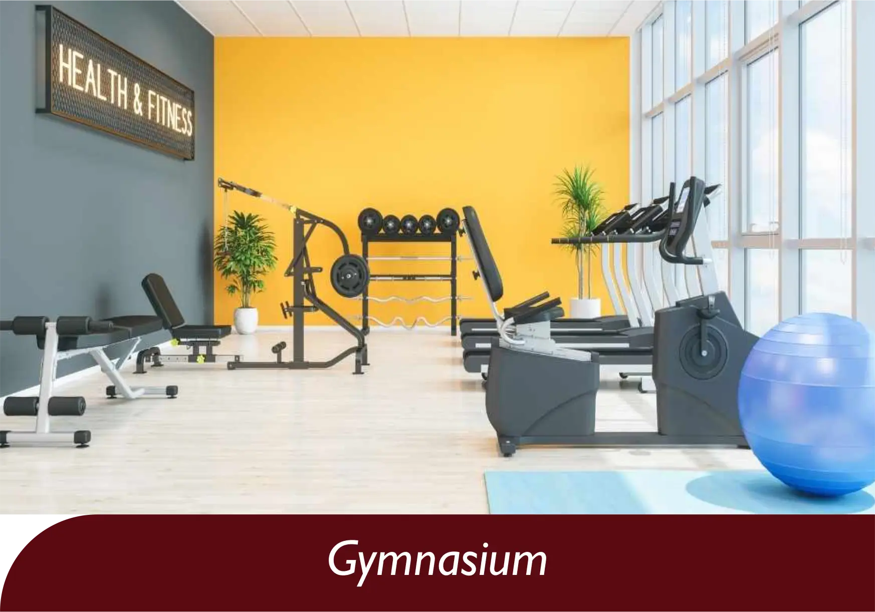 Gymnasium